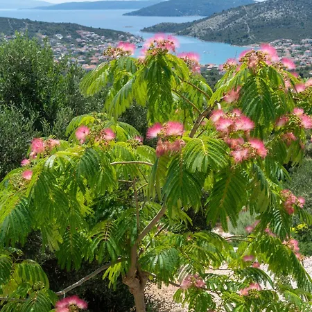 Korala - Luxe Met 4 Dubbele En Prive Zwembad فيلة Vinišće