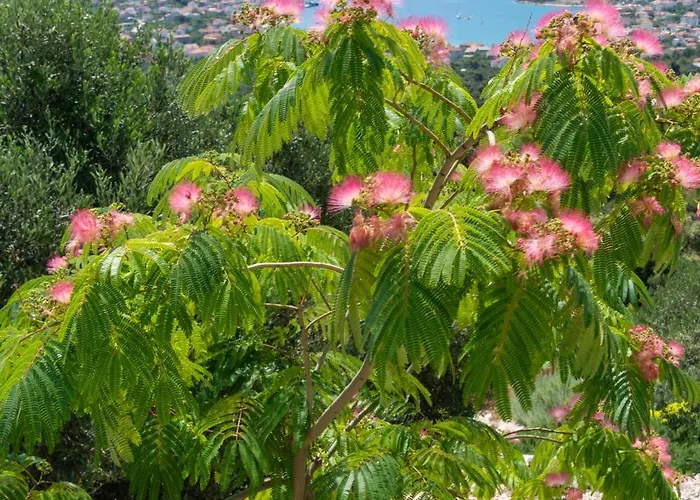 Korala - Luxe Met 4 Dubbele En Prive Zwembad Vila Vinišće